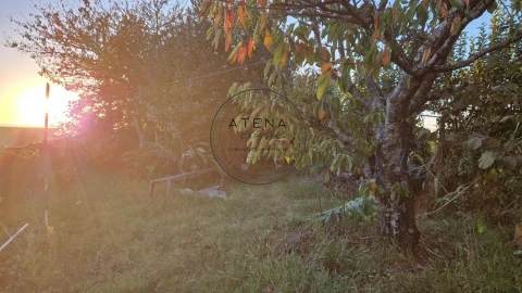 Terreno para Venda em Santa Marinha e São Pedro da Afurada