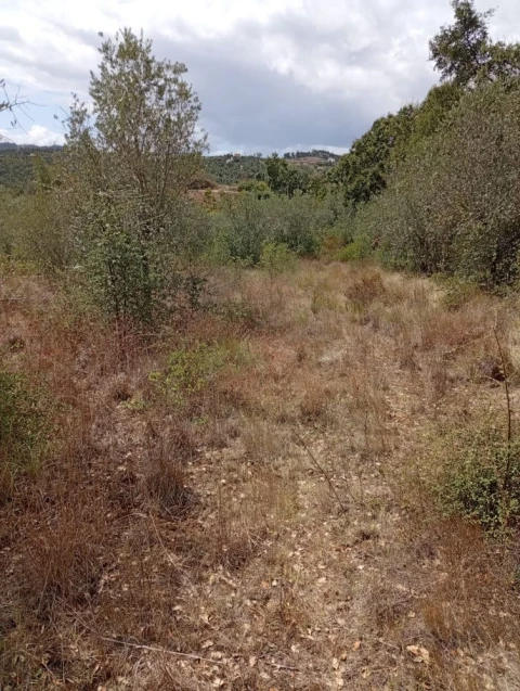 Terreno para Venda em Olalhas