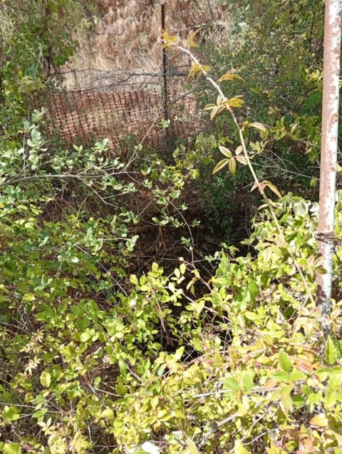Terreno para Venda em Olalhas