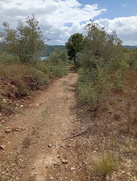 Terreno para Venda em Olalhas