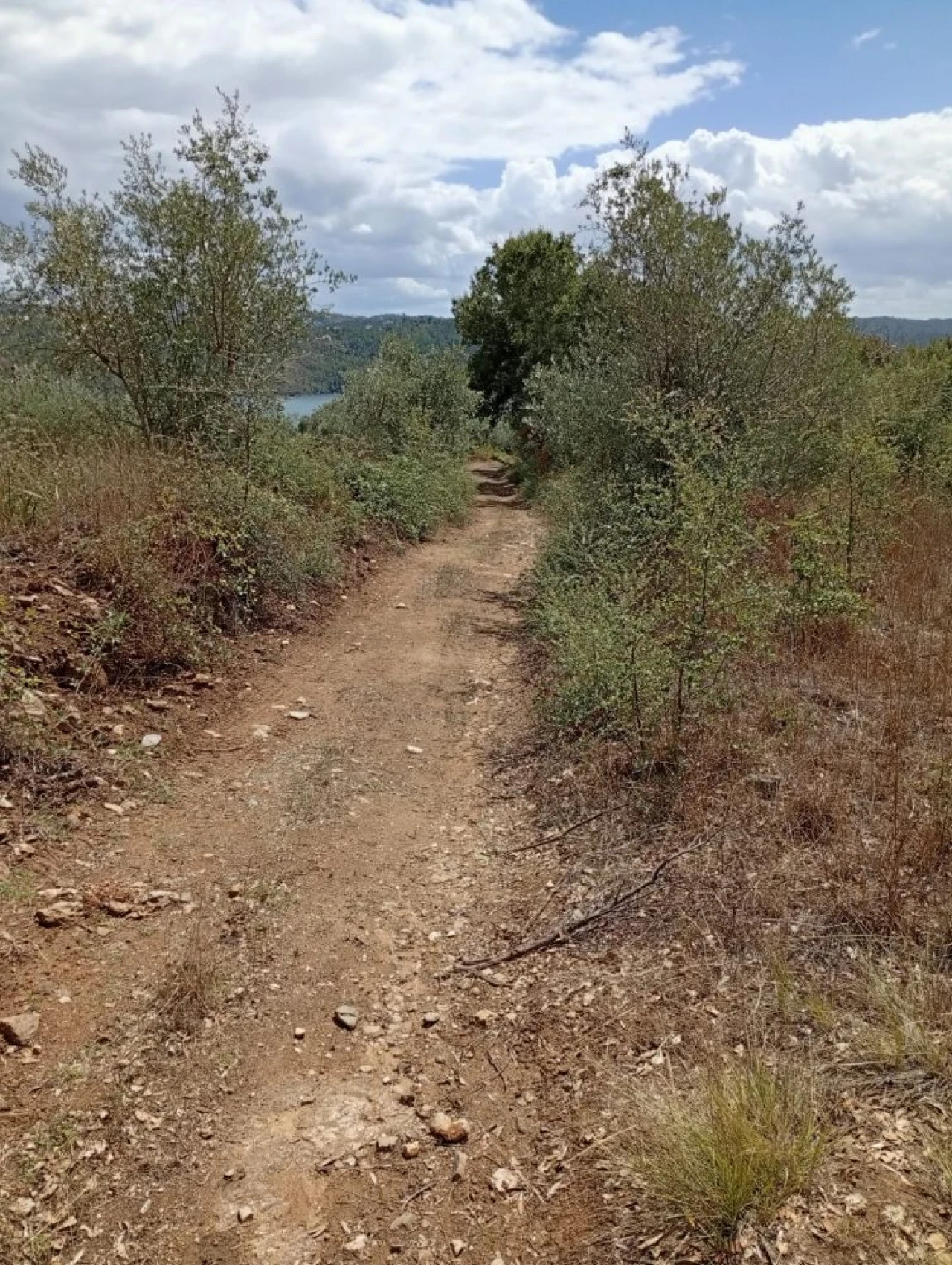Terreno para Venda em Olalhas Foto 3