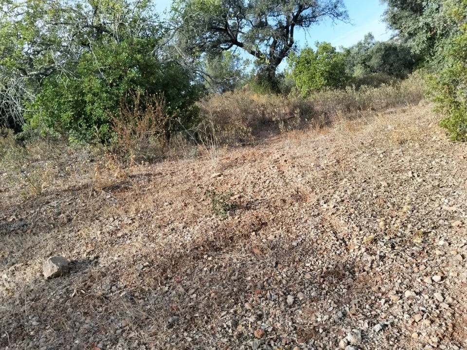 Terreno para Venda em Santa Catarina da Fonte do Bispo Foto 7