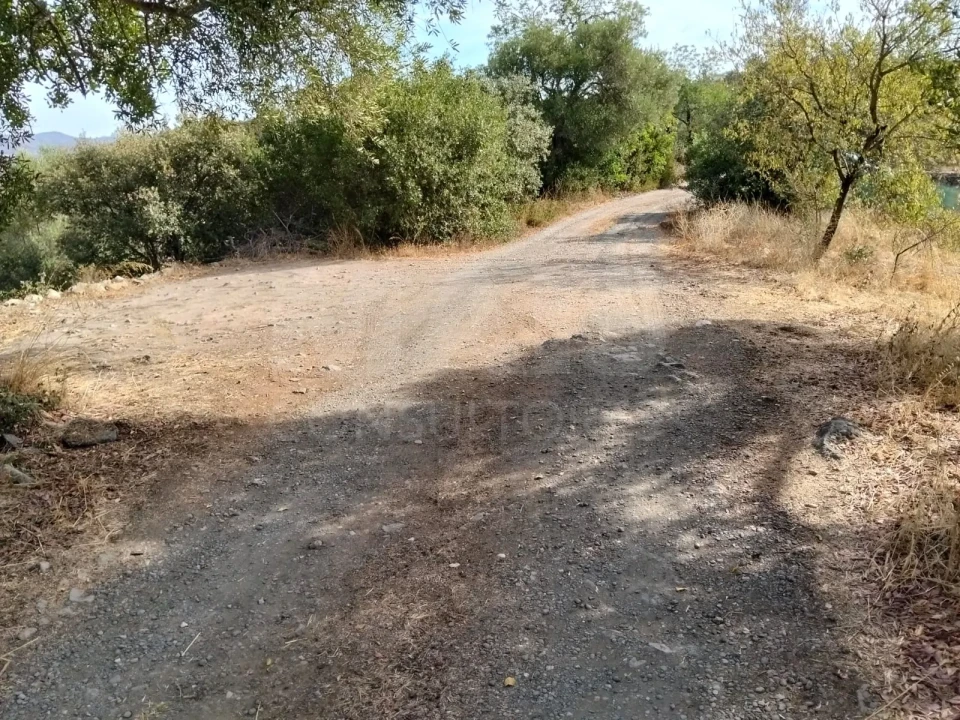 Terreno para Venda em Santa Catarina da Fonte do Bispo Foto 4
