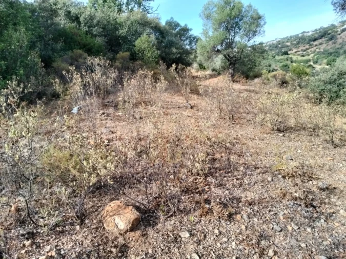 Terreno para Venda em Santa Catarina da Fonte do Bispo Foto 9
