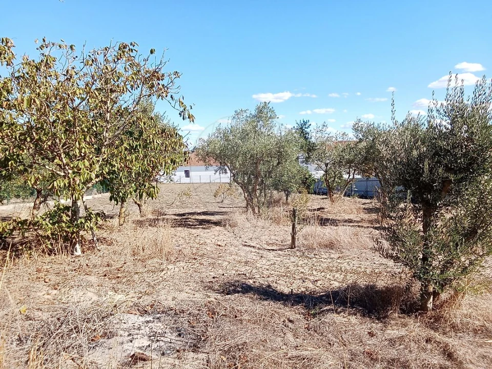 Terreno para Venda em Pontevel Foto 10