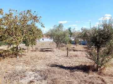 Terreno para Venda em Pontevel