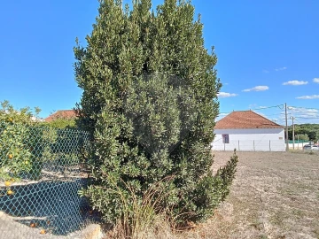 Terreno para Venda em Pontevel