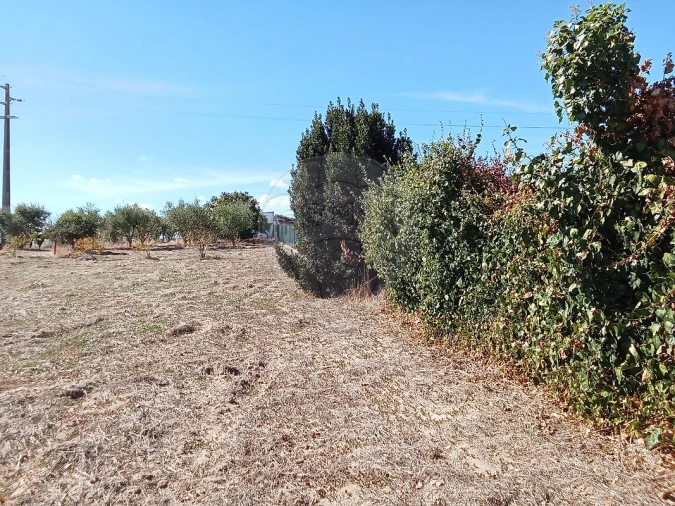 Terreno para Venda em Pontevel Foto 17