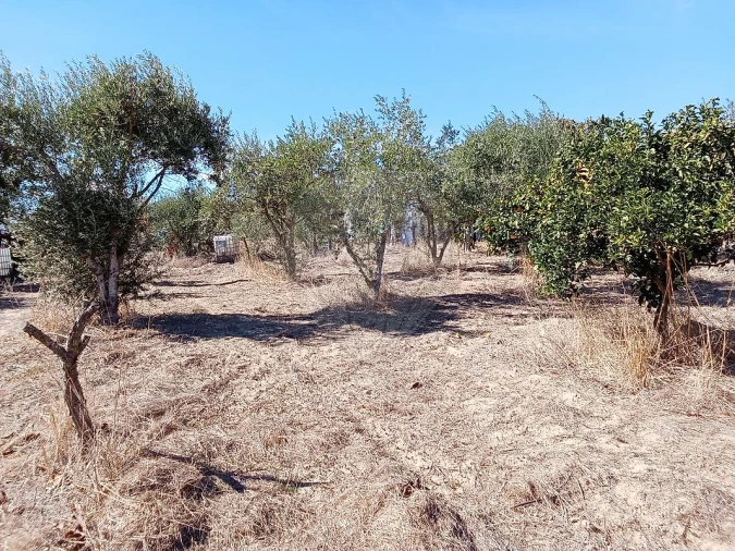 Terreno para Venda em Pontevel Foto 9