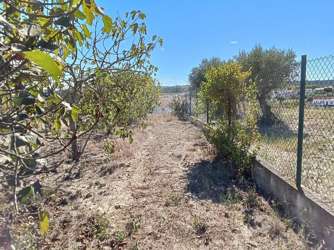 Terreno para Venda em Pontevel Foto 13