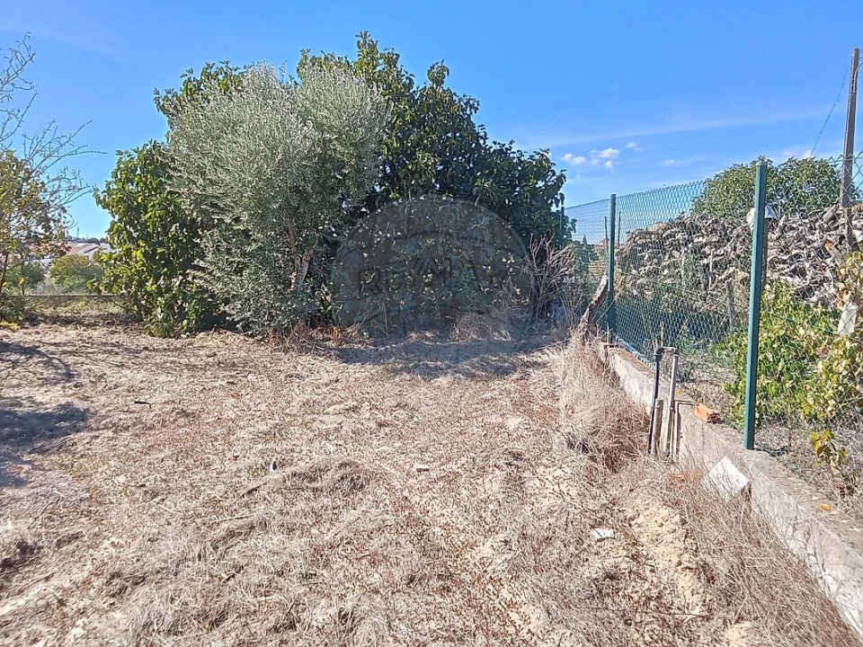 Terreno para Venda em Pontevel Foto 14