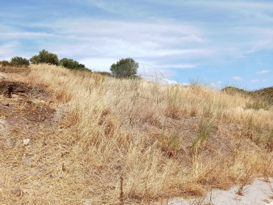 Terreno para Venda em Loures Foto 4
