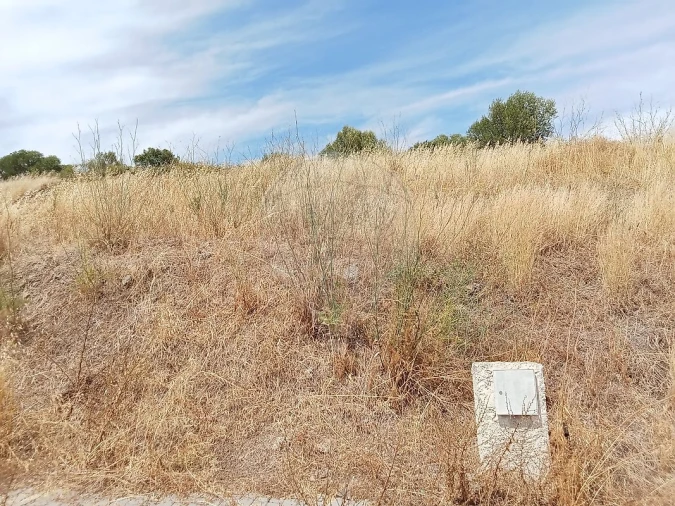 Terreno para Venda em Loures Foto 2