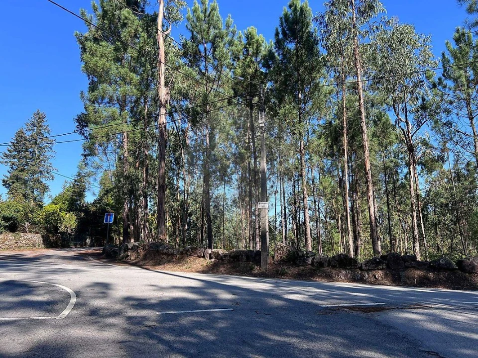 Terreno para Venda em Lobão, Gião, Louredo e Guisande Foto 7