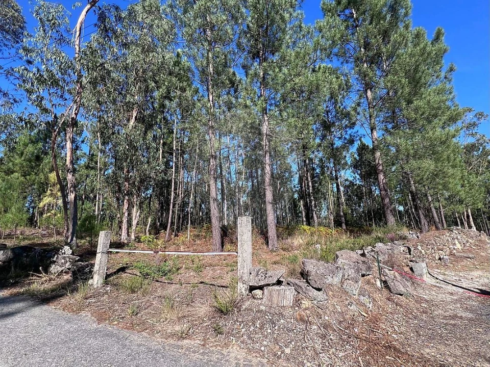 Terreno para Venda em Lobão, Gião, Louredo e Guisande Foto 8