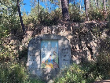Terreno para Venda em Lobão, Gião, Louredo e Guisande