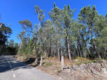 Terreno para Venda em Lobão, Gião, Louredo e Guisande