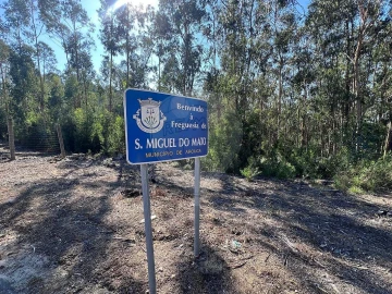 Terreno para Venda em Lobão, Gião, Louredo e Guisande