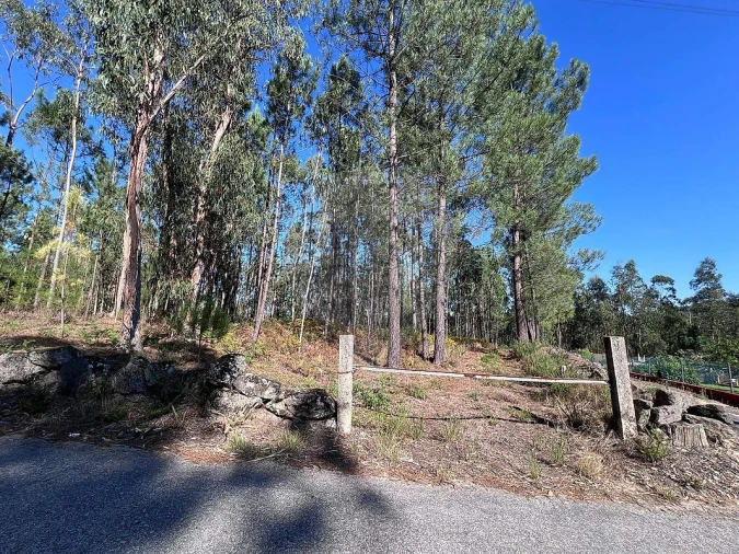 Terreno para Venda em Lobão, Gião, Louredo e Guisande Foto 2