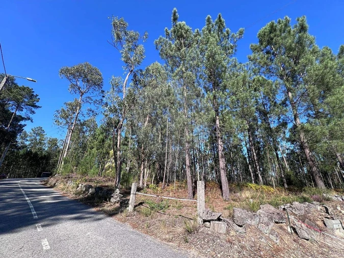 Terreno para Venda em Lobão, Gião, Louredo e Guisande Foto 4