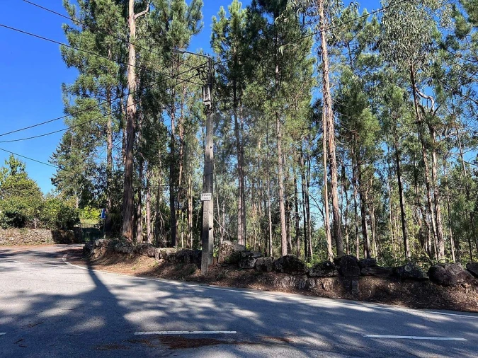 Terreno para Venda em Lobão, Gião, Louredo e Guisande Foto 6