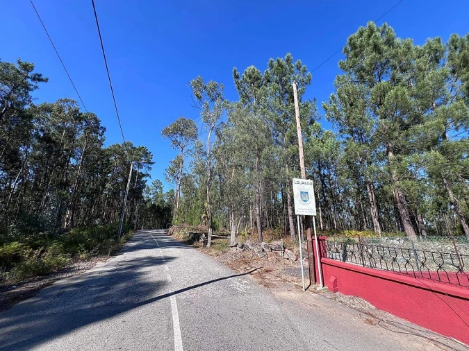 Terreno para Venda em Lobão, Gião, Louredo e Guisande Foto 3