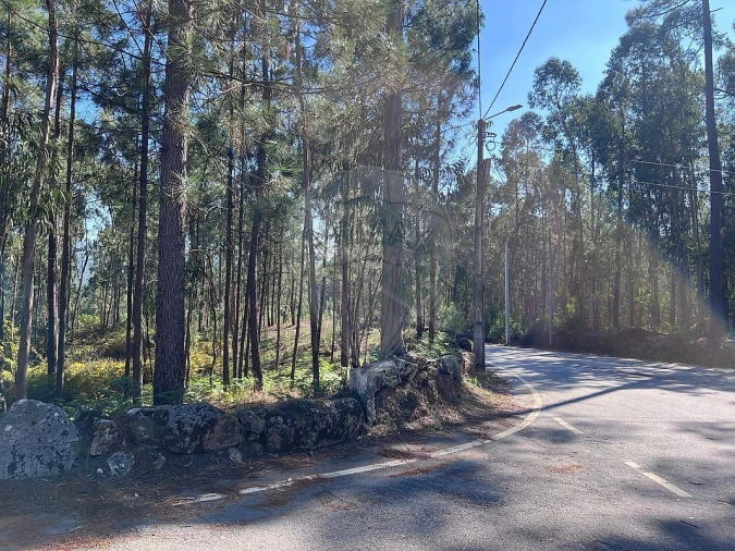 Terreno para Venda em Lobão, Gião, Louredo e Guisande Foto 9