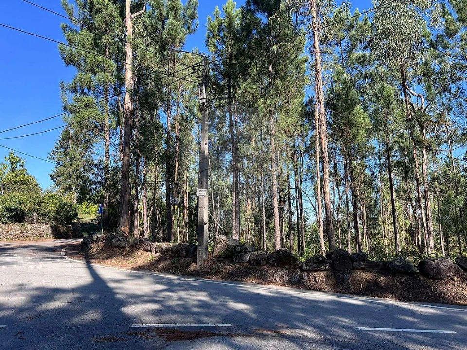 Terreno para Venda em Lobão, Gião, Louredo e Guisande Foto 6