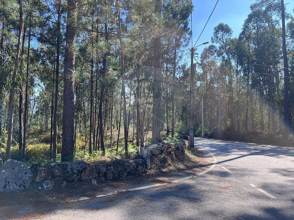 Terreno para Venda em Lobão, Gião, Louredo e Guisande Foto 9