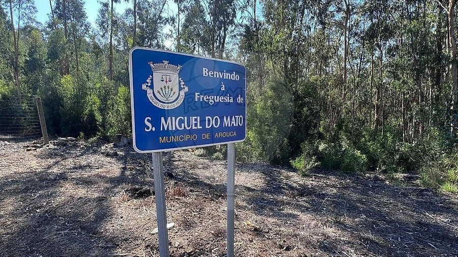 Terreno para Venda em Lobão, Gião, Louredo e Guisande