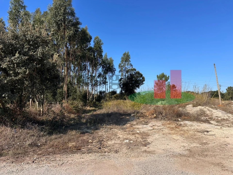 Terreno Agricola ou Rústico para Venda em Rio Maior Foto 2
