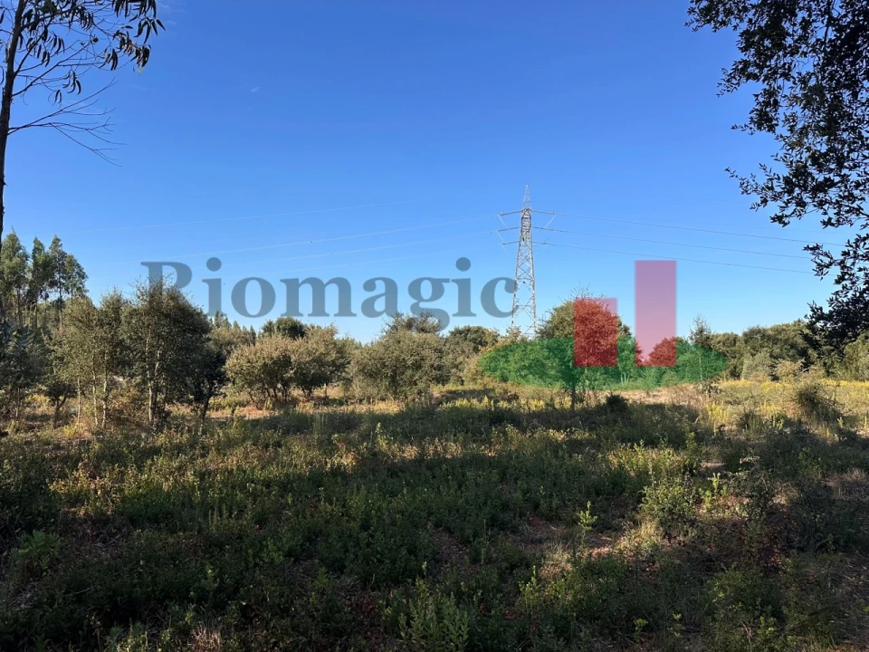 Terreno Agricola ou Rústico para Venda em Rio Maior Foto 3