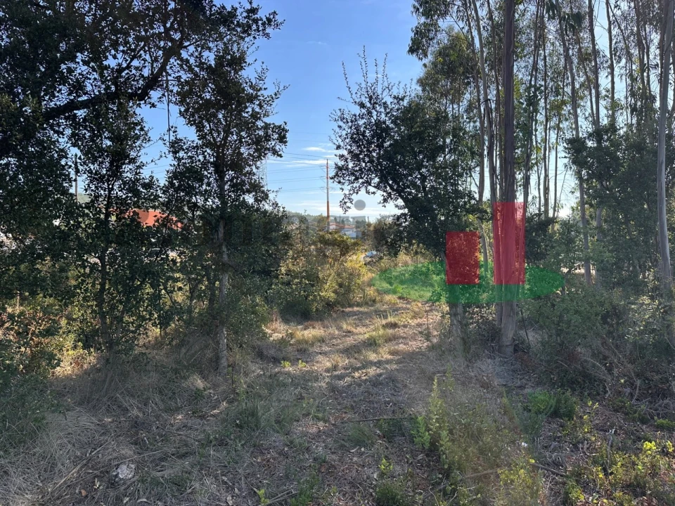 Terreno Agricola ou Rústico para Venda em Rio Maior Foto 6