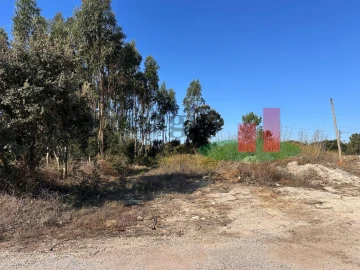 Terreno Agricola ou Rústico para Venda em Rio Maior