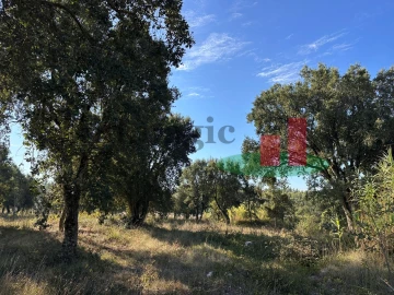 Terreno Agricola ou Rústico para Venda em Rio Maior