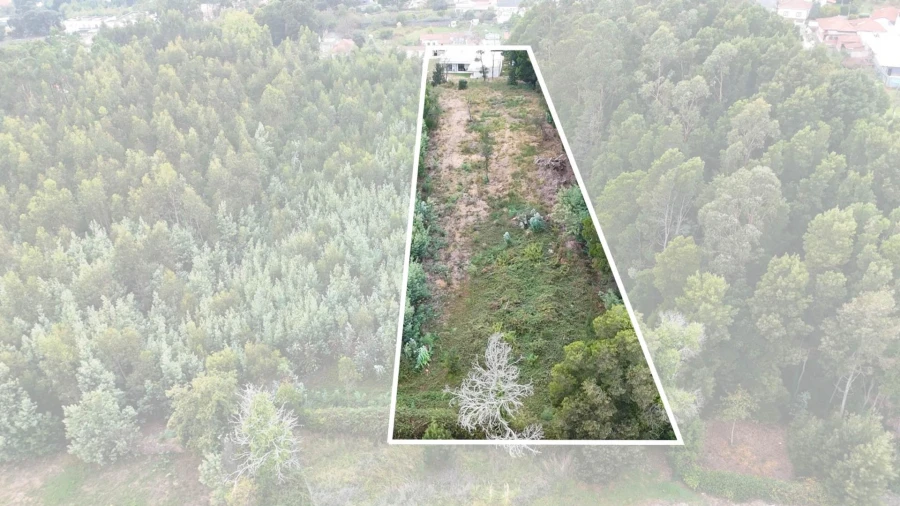 Moradia T3 para Venda em Grijó e Sermonde Foto 37