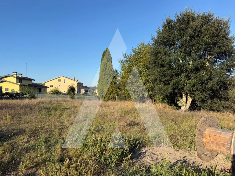Terreno para Venda em Oliveira do Bairro Foto 4