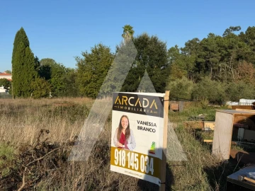 Terreno para Venda em Oliveira do Bairro