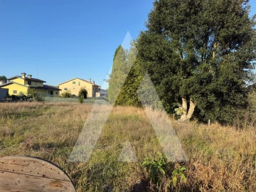 Terreno para Venda em Oliveira do Bairro