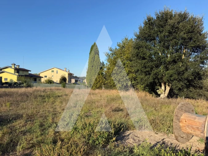 Terreno para Venda em Oliveira do Bairro Foto 4