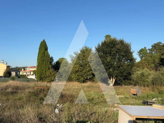 Terreno para Venda em Oliveira do Bairro Foto 7