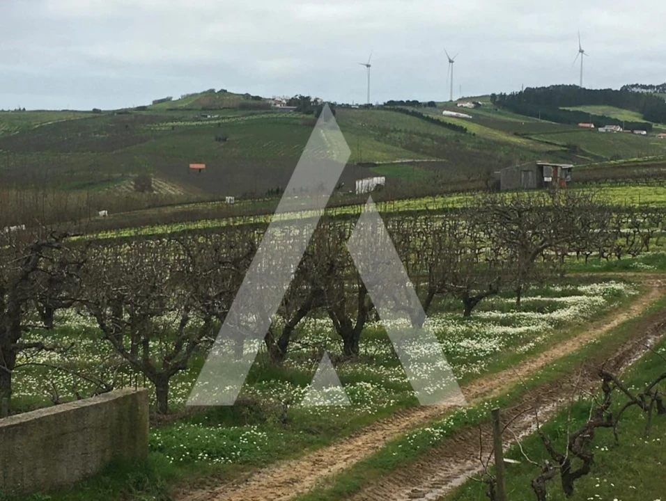 Terreno Agricola ou Rústico para Venda em Azueira e Sobral da Abelheira Foto 1