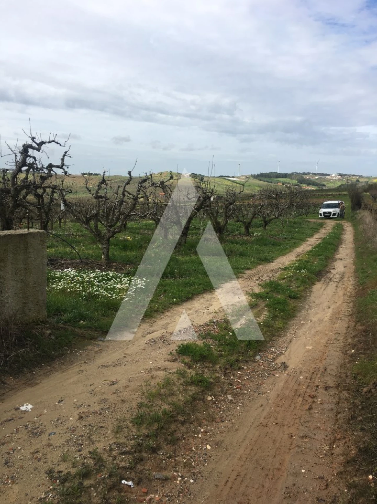 Terreno Agricola ou Rústico para Venda em Azueira e Sobral da Abelheira Foto 13
