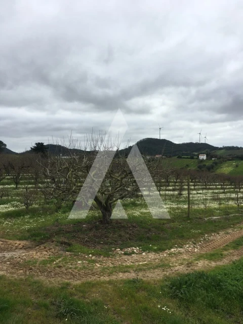 Terreno Agricola ou Rústico para Venda em Freiria