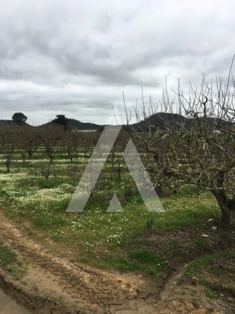 Terreno Agricola ou Rústico para Venda em Freiria