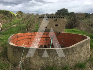 Terreno Agricola ou Rústico para Venda em Freiria