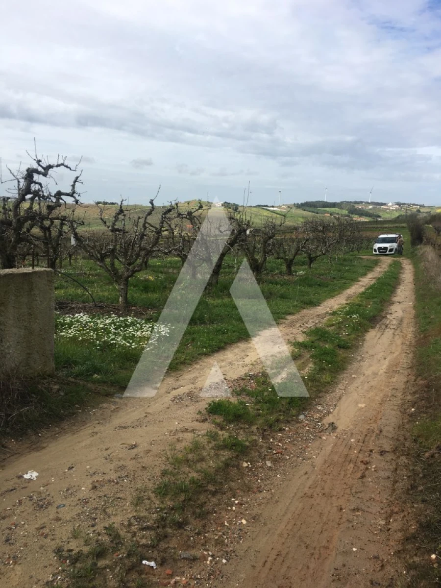 Terreno Agricola ou Rústico para Venda em Azueira e Sobral da Abelheira Foto 13