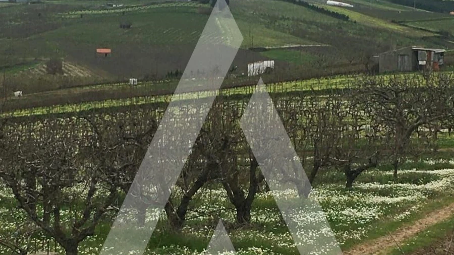 Terreno Agricola ou Rústico para Venda em Azueira e Sobral da Abelheira