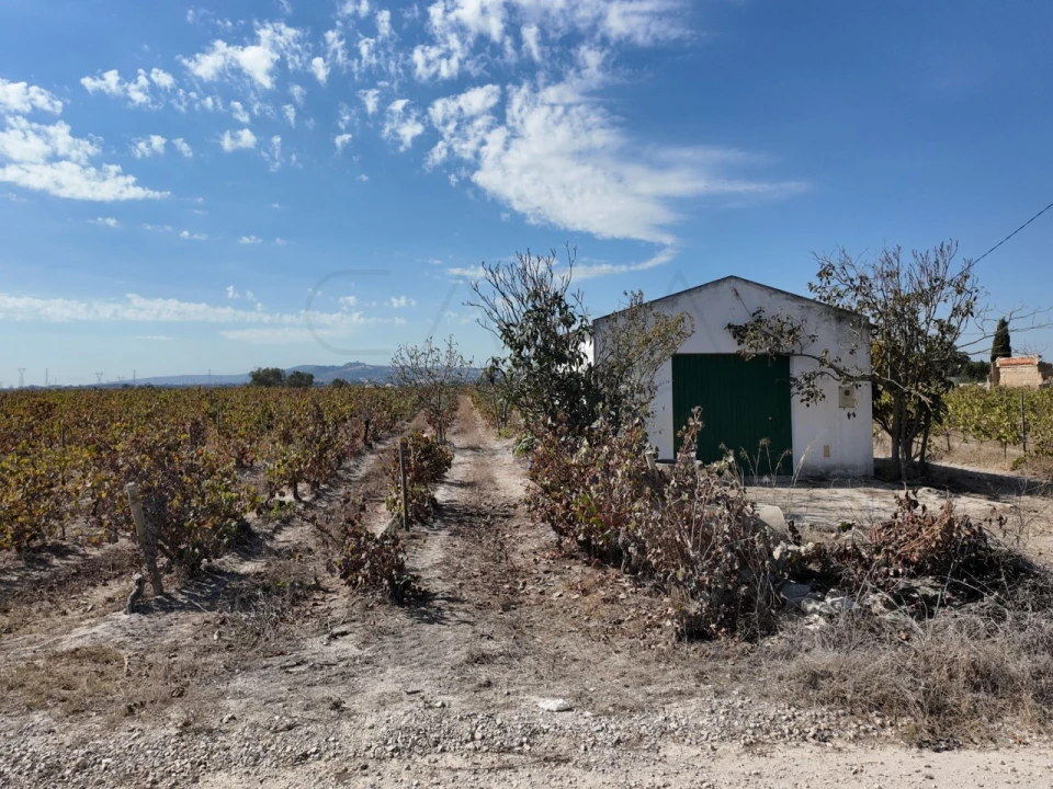 Terreno para Venda em Palmela Foto 3