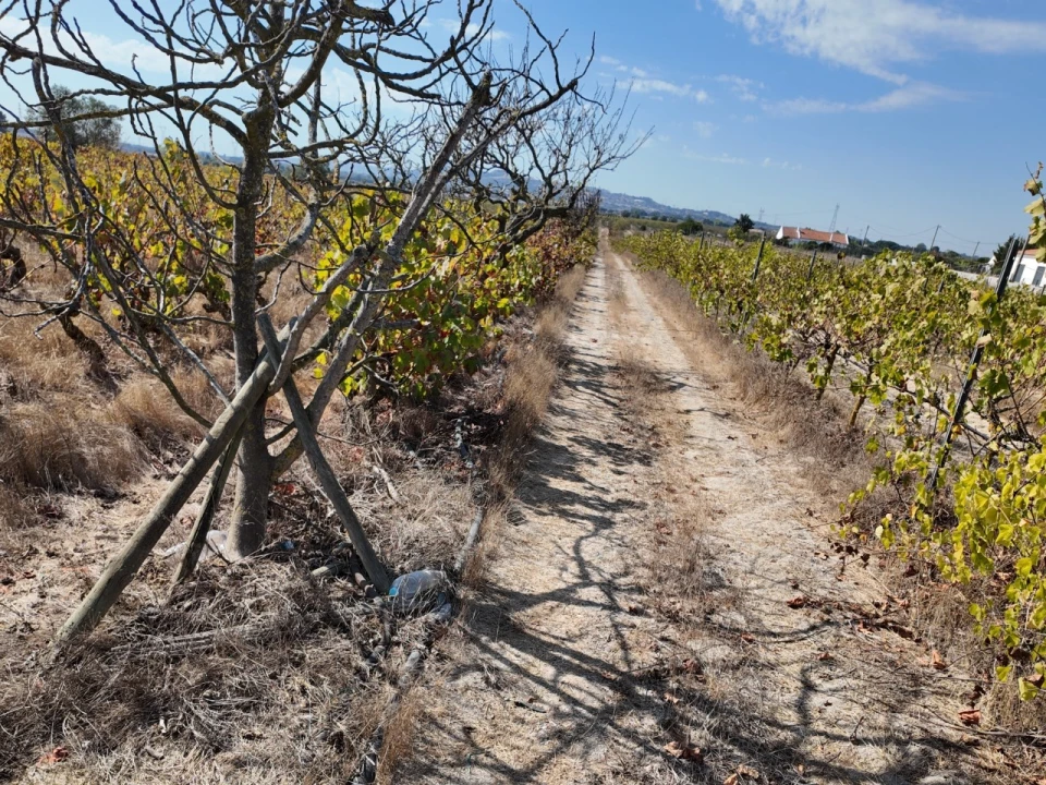 Terreno para Venda em Palmela Foto 9